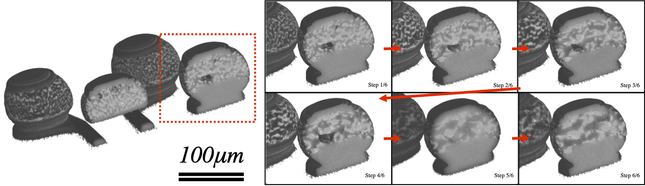 図18:熱衝撃試験によるはんだボールの経時変化の観察事例