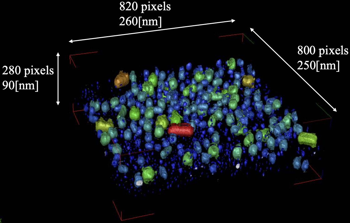 図14:TEMトモグラフィー画像の粒子解析例