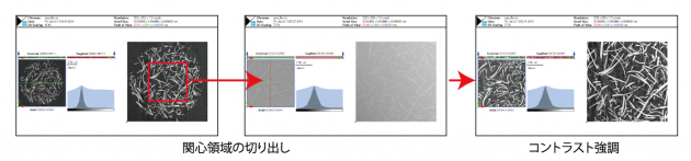 17b42f0449bae8fd423ee211981d75e8_f557-1.png