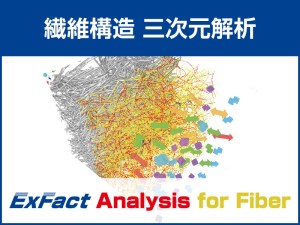 exfact-analysis-fiber.jpg